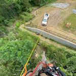 Good Neighbor Tree Service - photo 8