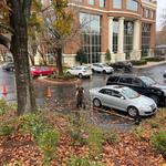 Good Neighbor Tree Service - photo 9