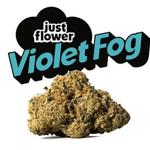 the-forest-dispensary - photo 1