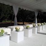 Luxury Event Rentals By BeDazzle - photo 1