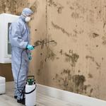 5 Star Services LLC - photo 3