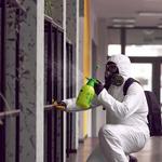 5 Star Services LLC - photo 4