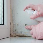 5 Star Services LLC - photo 6