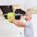 5 Star Services LLC - photo 9