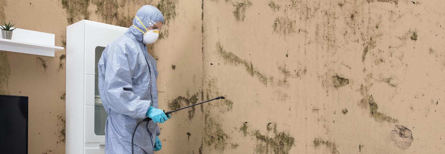 5 Star Services LLC cover photo