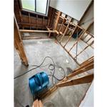 Cleopatra Cleaning & Restoration Services - photo 2