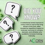 Acorn Sports Podiatry - photo 3