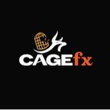 CAGE FX CONSULTING LTD