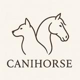Canihorse - Business Financial Consultants in L'Ile-Rousse