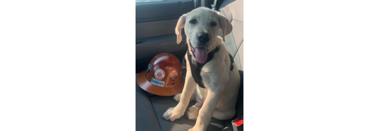 Aspen Plumbing Services LLC cover photo