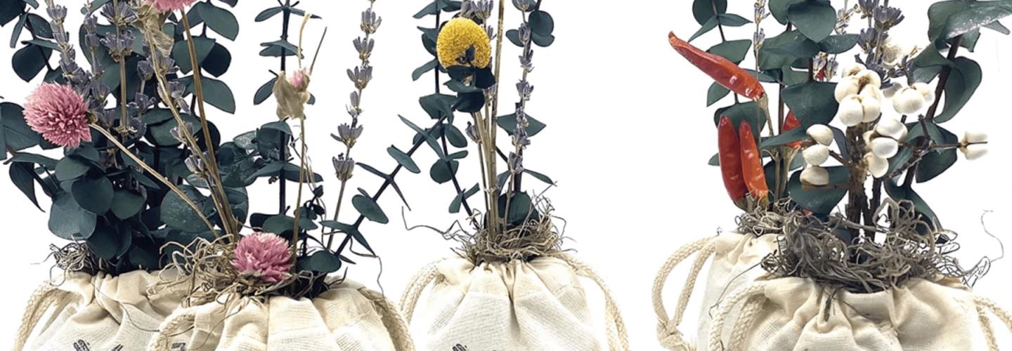 Economy Gardens cover photo