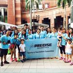 PRECISE Development - photo 3