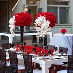 BeDazzle My Events Corporate and Event Rentals - photo 4