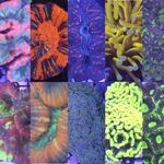 Reef Haven - photo 1