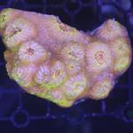 Reef Haven - photo 2