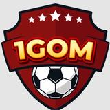 1GOMi - Business Financial Consultants in Vung Tau