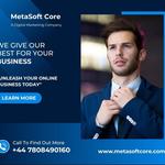 Metasoft Core - photo 7