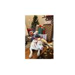 Neighborhood Veterinary Centers - Lake Charles - photo 1