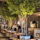 Preserved Interiors Replica Plants Resort Casino Hotels