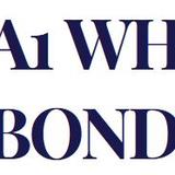 A1 WHITE BONDING CO - Bail Bondsmen in Carrollton