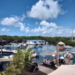 Casual Monday Charters - photo 1