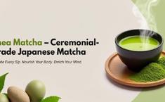 Rhea Matcha - Food & Related Products