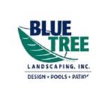 Blue Tree Landscaping - Swimming Pools in Schwenksville