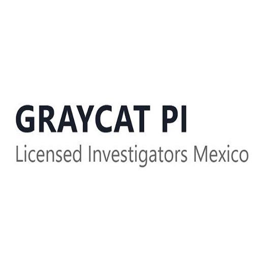 GrayCat PI, SAS - Business Consulting