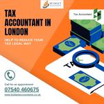 Budget Accountants - photo 1