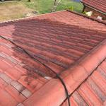 Mj roof Painting - photo 1