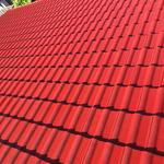 Mj roof Painting - photo 2