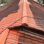 Mj roof Painting - photo 6