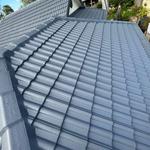 Mj roof Painting - photo 7