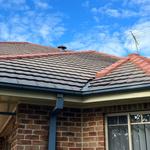 Mj roof Painting - photo 8