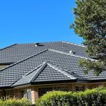 Mj roof Painting - photo 10