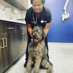 Neighborhood Veterinary Centers - Richmond - photo 2