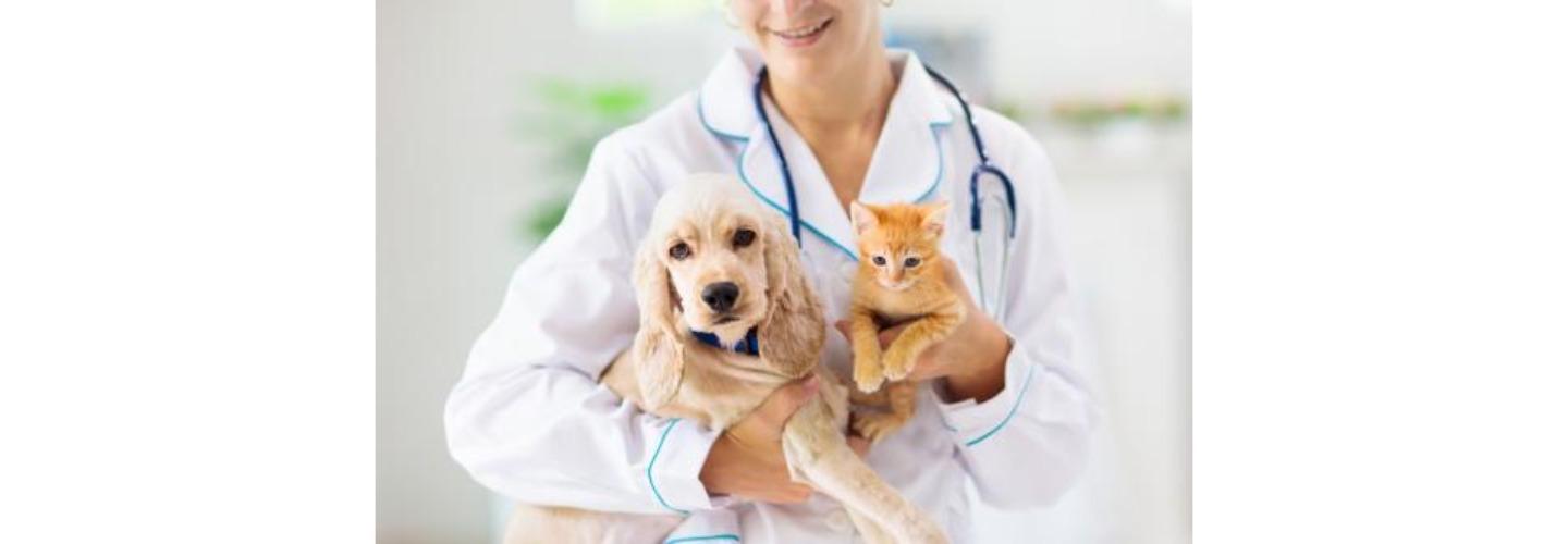 Neighborhood Veterinary Centers - Richmond cover photo