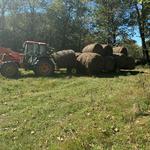 Scott's Freight Shipping & Heavy Haul Service - photo 6