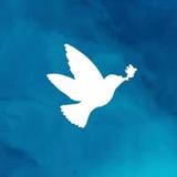 Weston Dental Surgery - Cosmetic Dentists in Canberra