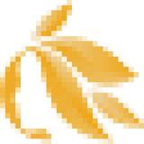 Cosmetic Skin - Medical Spas in Englewood Cliffs