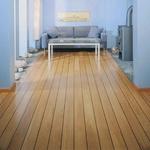 Raiden Restoration - photo 2