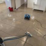 Raiden Restoration - photo 5