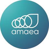AMAEA LIMITED - Professional Services in Hamilton