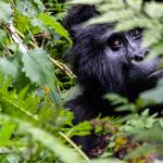 Africa Travel Experts - photo 1