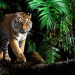 Africa Travel Experts - photo 2