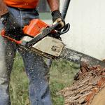 New Jersey Tree Professional - photo 2