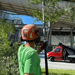 New Jersey Tree Professional - photo 4