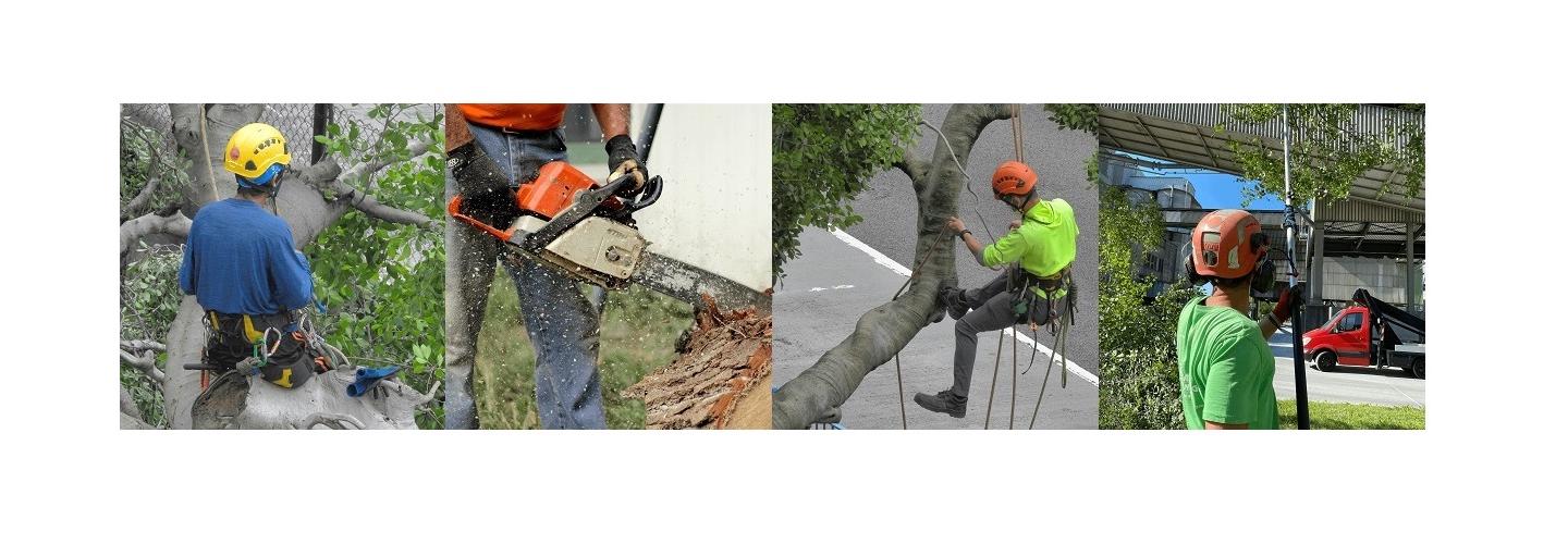 New Jersey Tree Professional cover photo