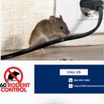360 Rodent Control - photo 2