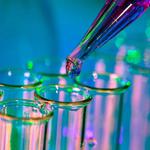 Bernard Laboratories, Inc. - photo 3